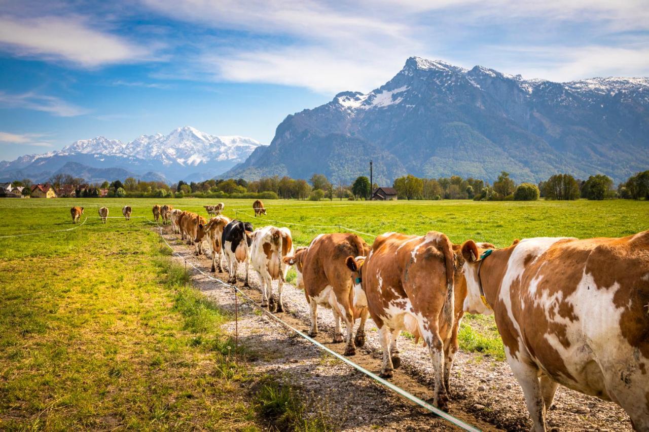 Ferienhaus Schlagerbauer Biohof Salzburg Kültér fotó