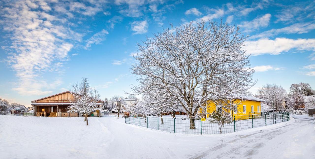 Ferienhaus Schlagerbauer Biohof Salzburg Kültér fotó